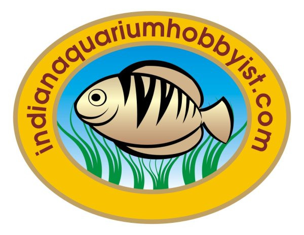 Indian Aquarium Hobbyist